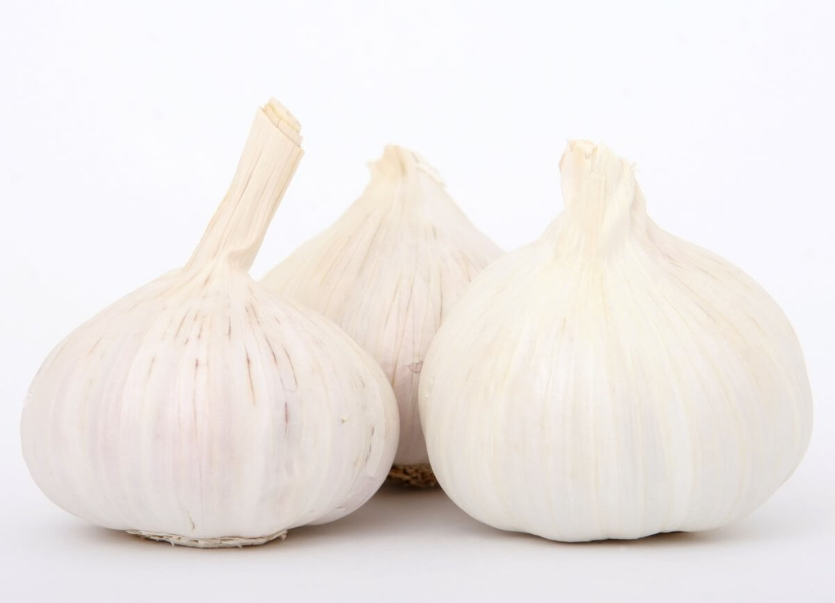 Die gesundheitliche Wirkung von Knoblauch auf den Körper Operationen, Facharzt und Klinik